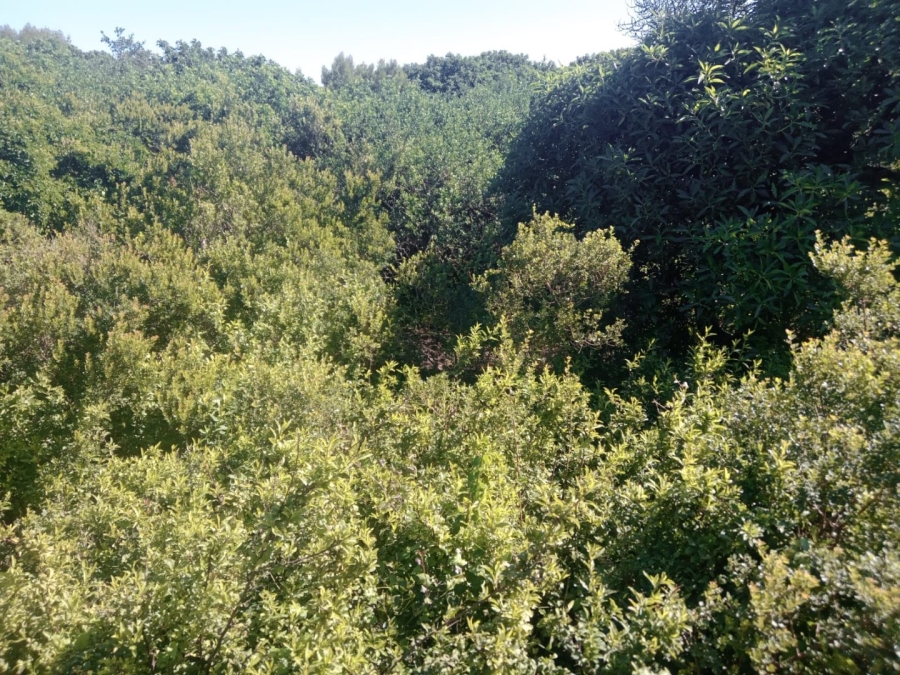 Commercial Property for Sale in Paradise Beach Eastern Cape